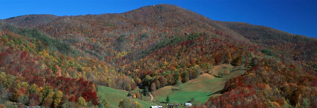 Maggie Valley